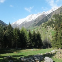 Ausblick von der Veranda Richtung Passhöhe