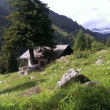 Blick vom Waldrand zum Haus hinunter