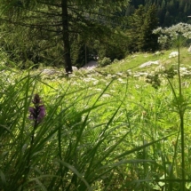 Blick vom oberen Bachzugang Richtung Haus