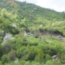 DSCF8207_r