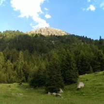 IMAG0671_r